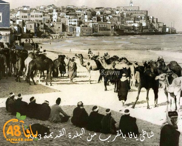 yaffa old 1934 (17).jpg.jpg.jpg